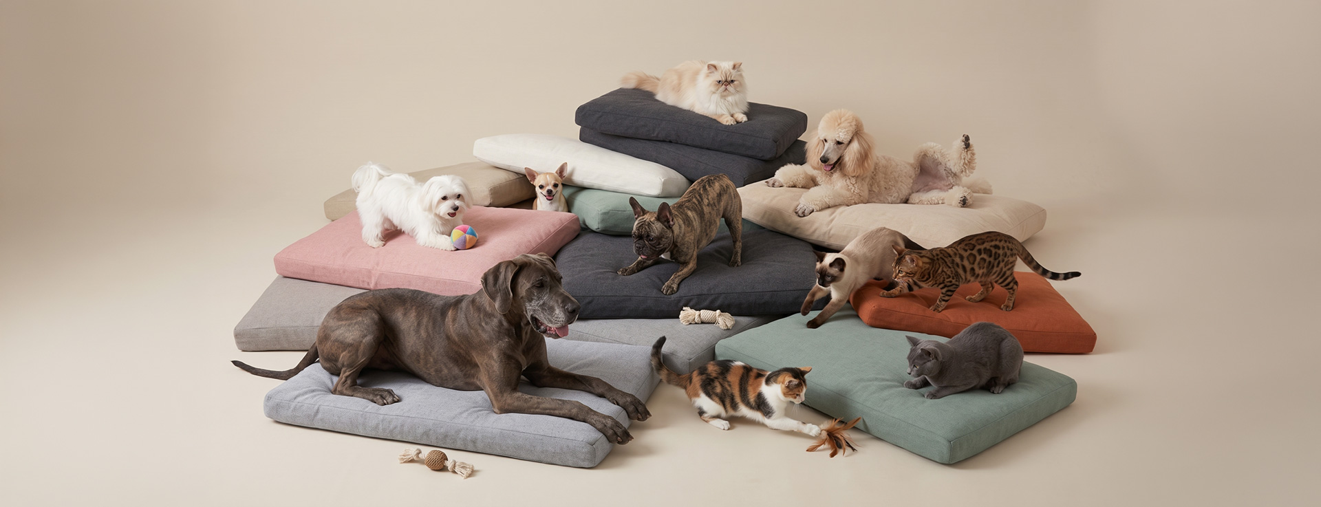 Mascotas descansando sobre diferentes colchones